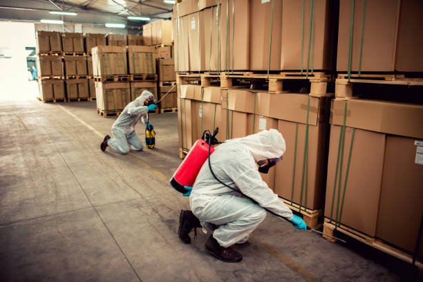 Best Cockroach Control Services  in Highland, AR