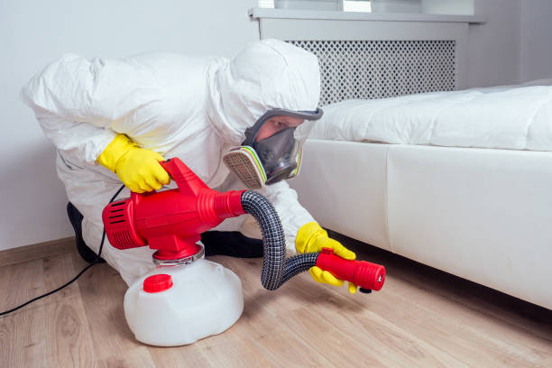 Best Termite Control Services  in Highland, AR