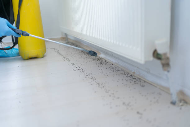 Best Local Pest Control Services  in Highland, AR